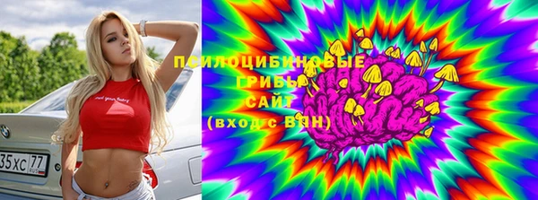 ешки Абаза