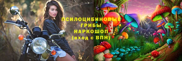 ешки Абаза