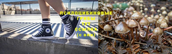 ешки Абаза