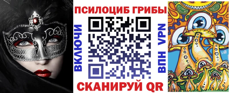 OMG ссылки  Шахты  Галлюциногенные грибы Psilocybine cubensis  даркнет сайт 