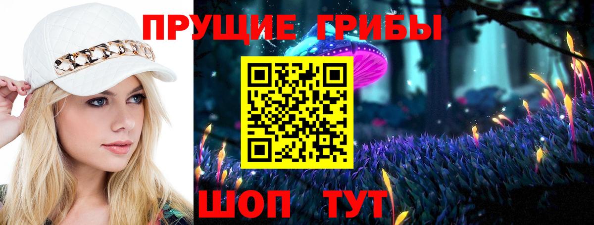 купить наркотик  Псилоцибиновые грибы мицелий  Вход с VPN  Шахты 